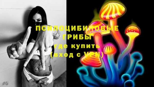 героин Богданович