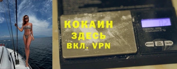 тгк Богородицк