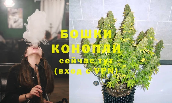 тгк Богородицк