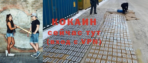 тгк Богородицк