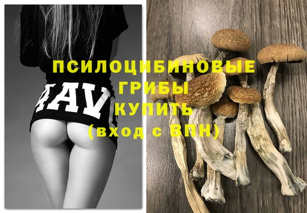 героин Богданович