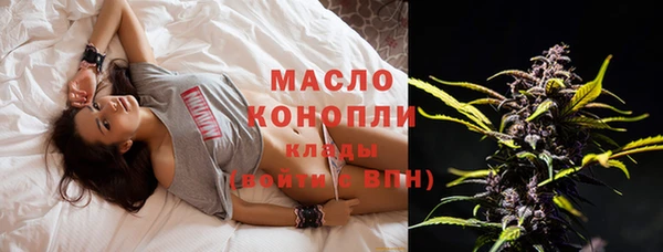 тгк Богородицк